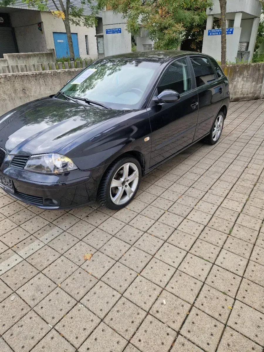 Seat Ibiza 2006 photo 3