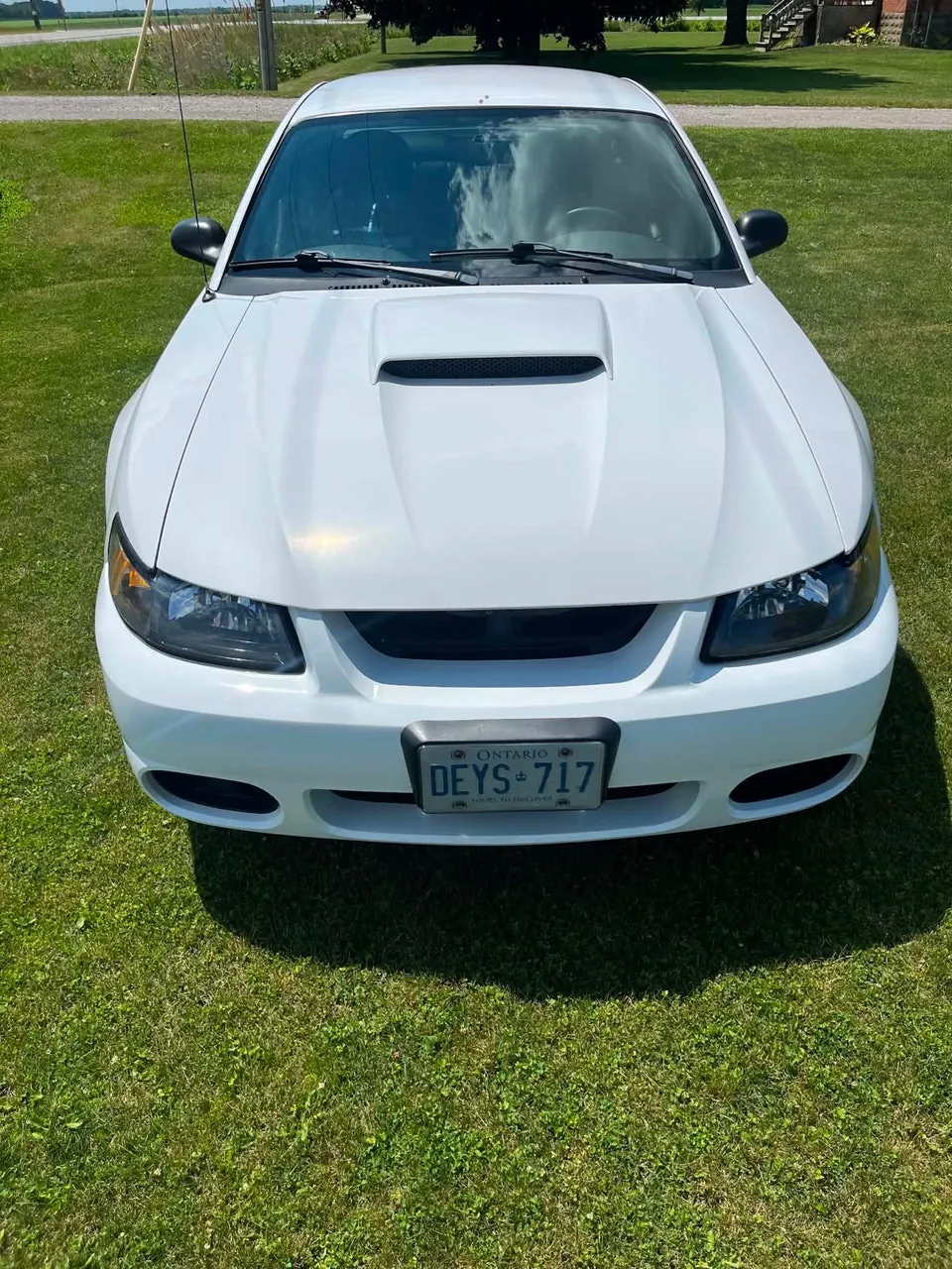 Ford Mustang Gt 2002 photo 2