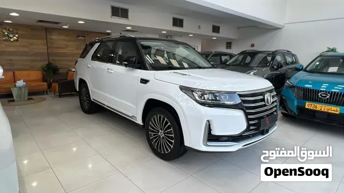 Changan Cs95