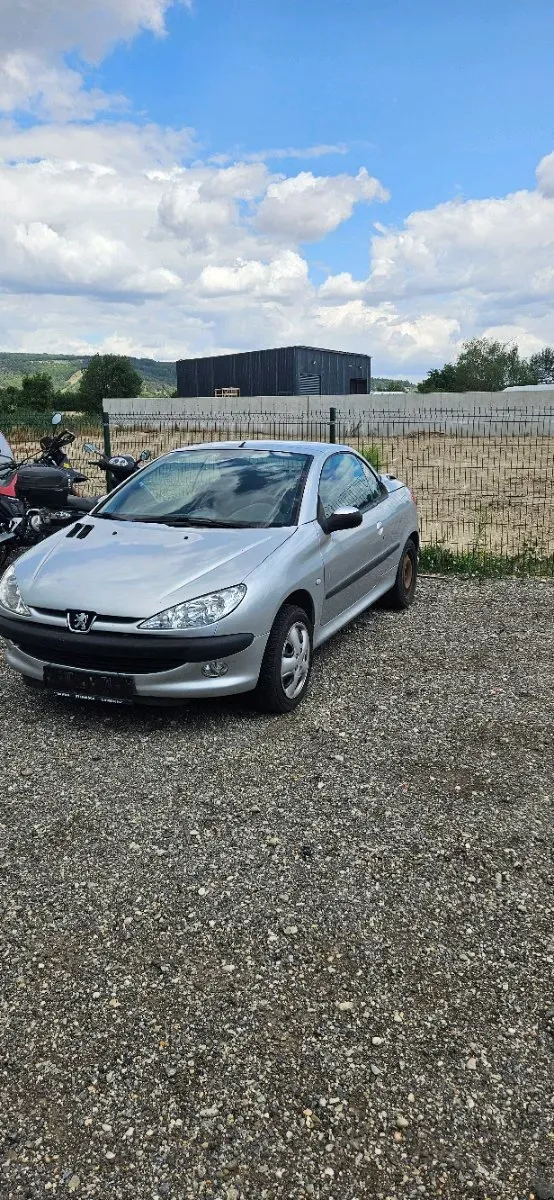 Peugeot 206 2002 photo 3