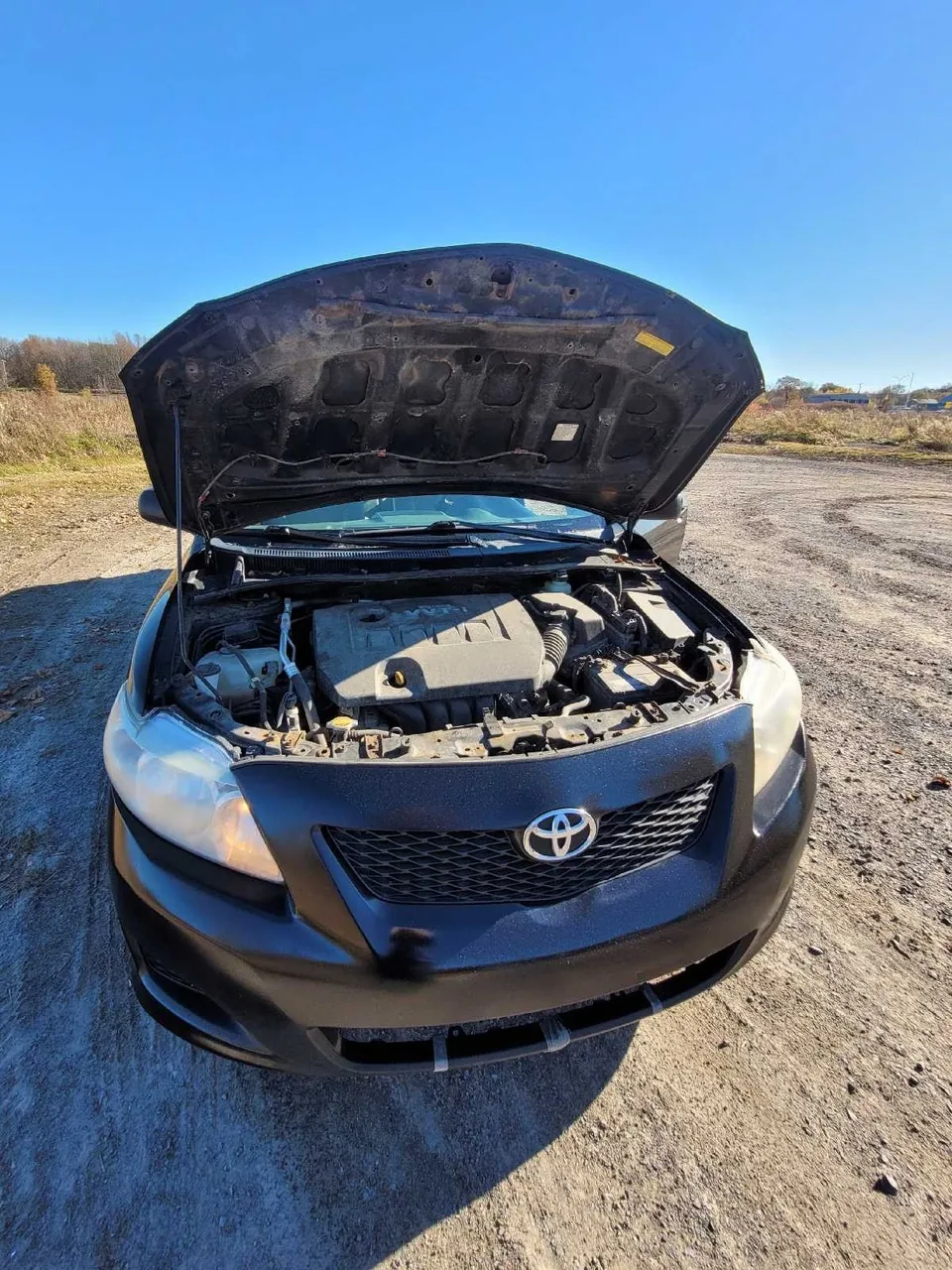 Toyota Corolla 2009 photo 2