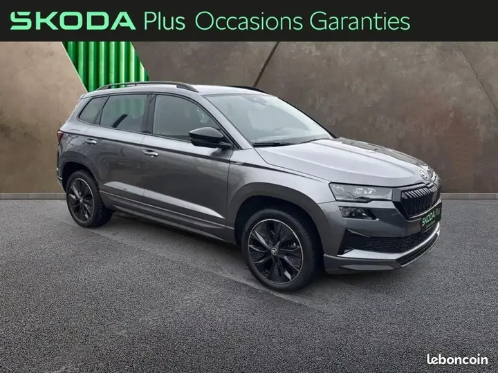 Skoda Karoq 2024 photo 4