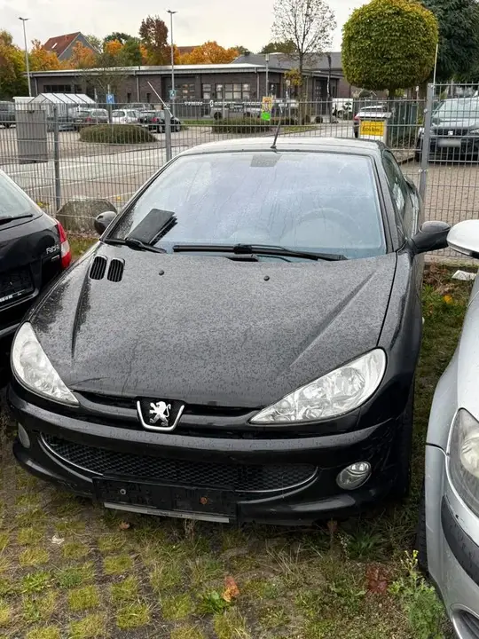 Peugeot 206 Cc Cabrio