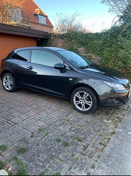 Seat Ibiza 2011 photo 2