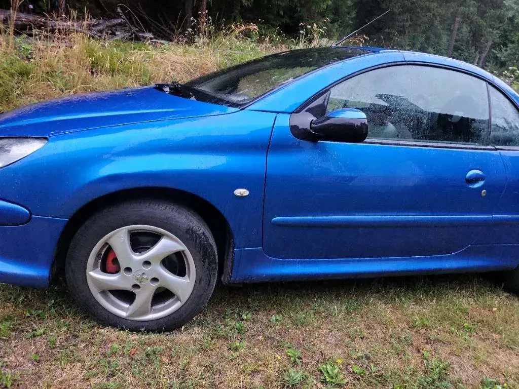 Peugeot 206 2005 photo 2