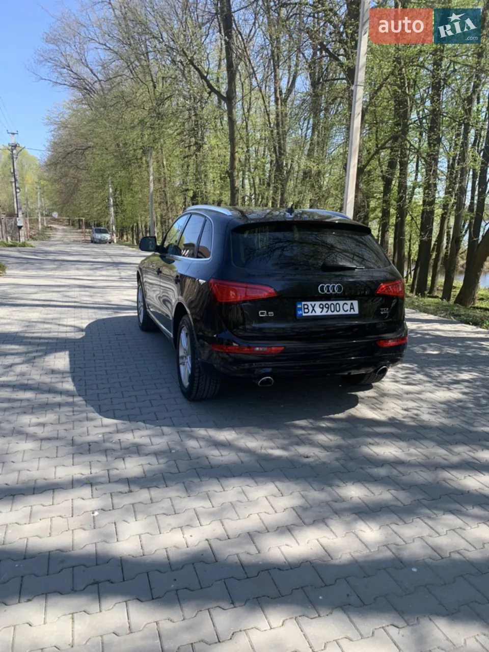 Audi Q5 2013 photo 4