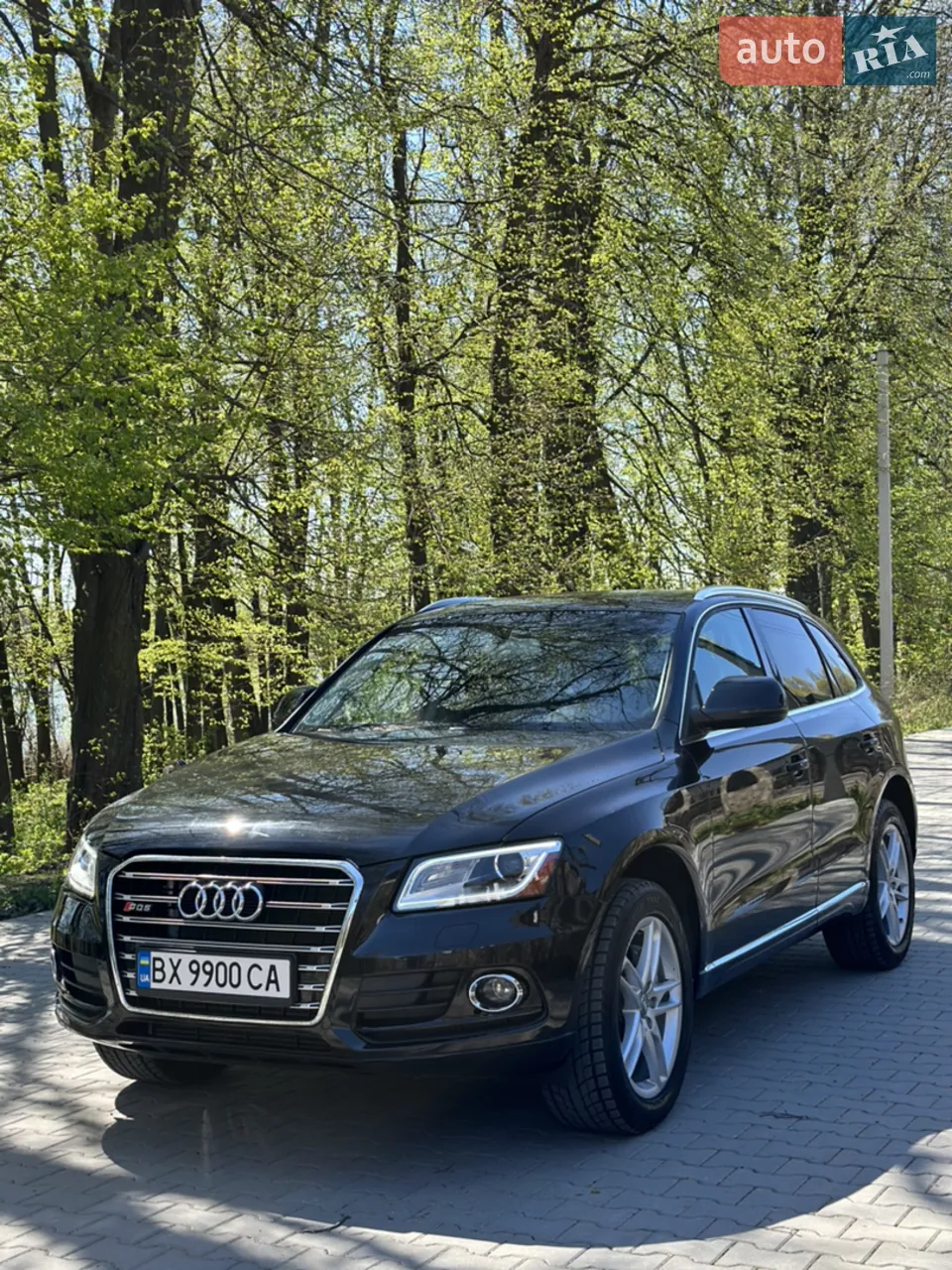 Audi Q5 2013 photo 5