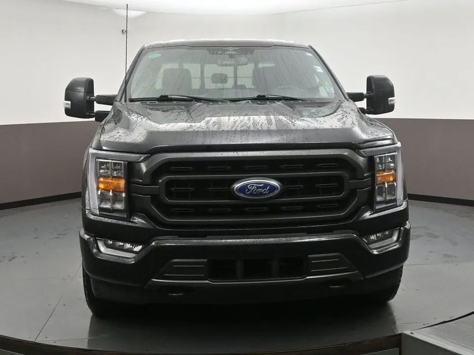 Ford F-150 2023 photo 2