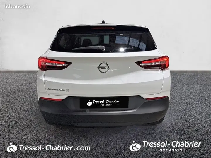 Opel Grandland X 2020 photo 4