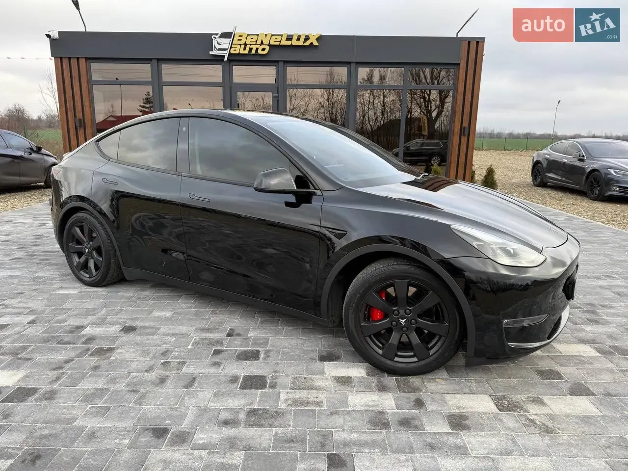 Tesla Model Y