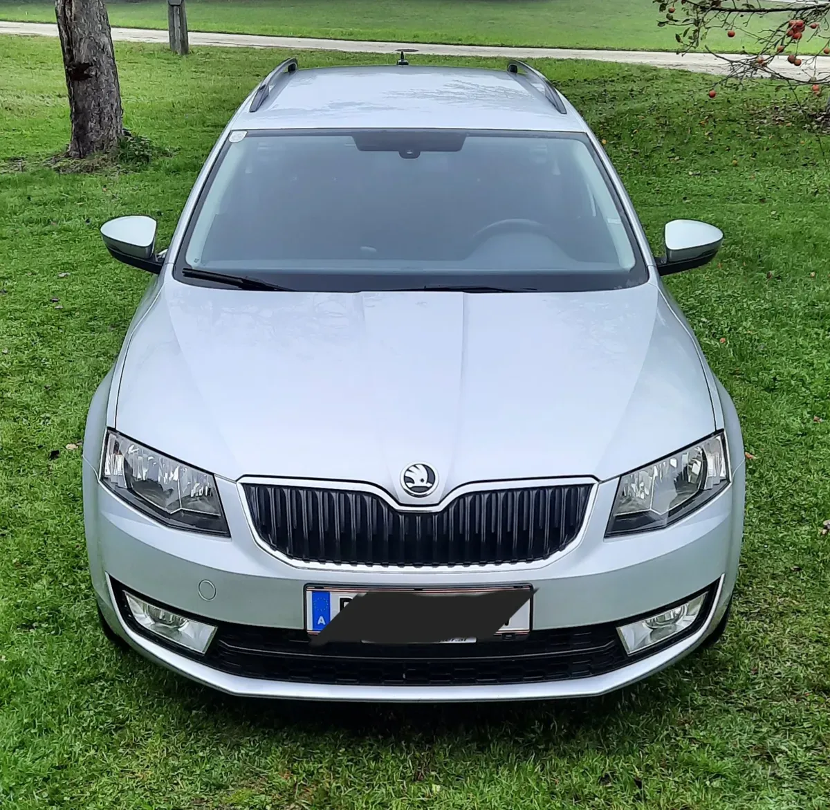 Skoda Octavia 2015 photo 3
