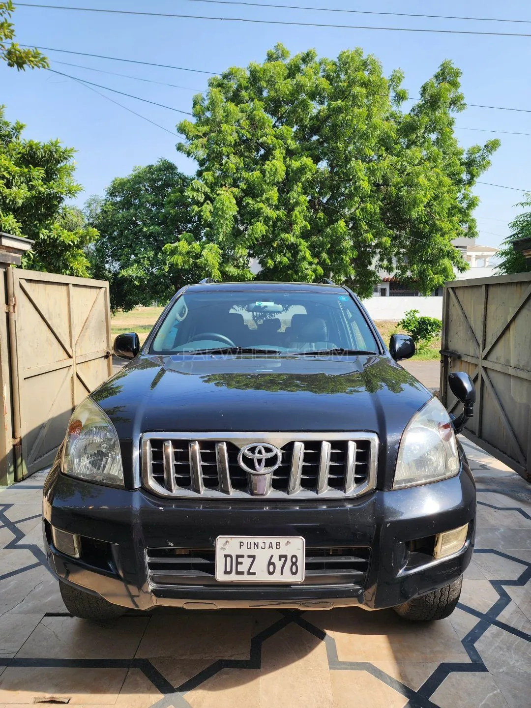 Toyota Prado