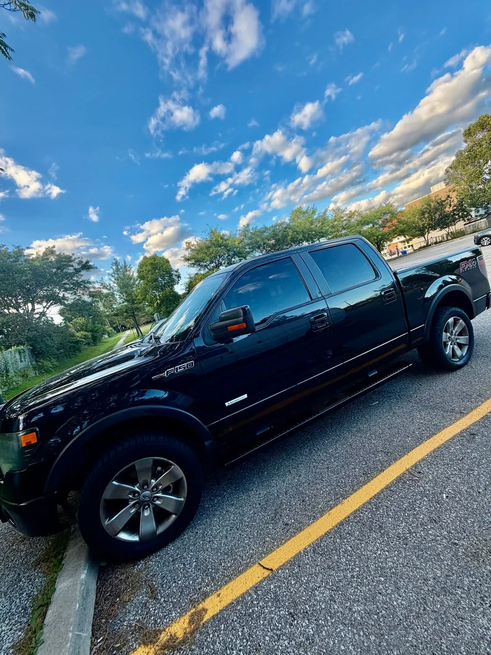 Ford F-150 2013 photo 2