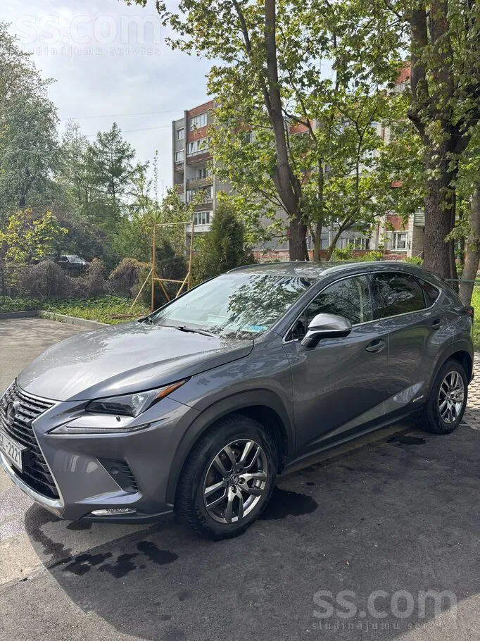 Lexus Nx 2019 photo 3