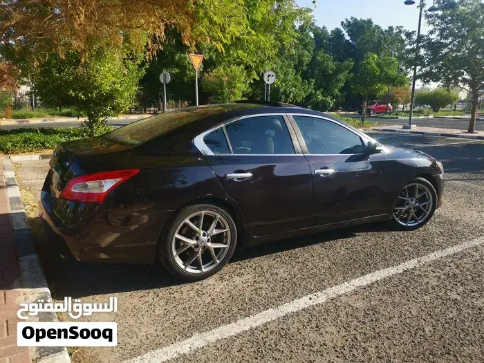 Nissan Maxima 2010 photo 4