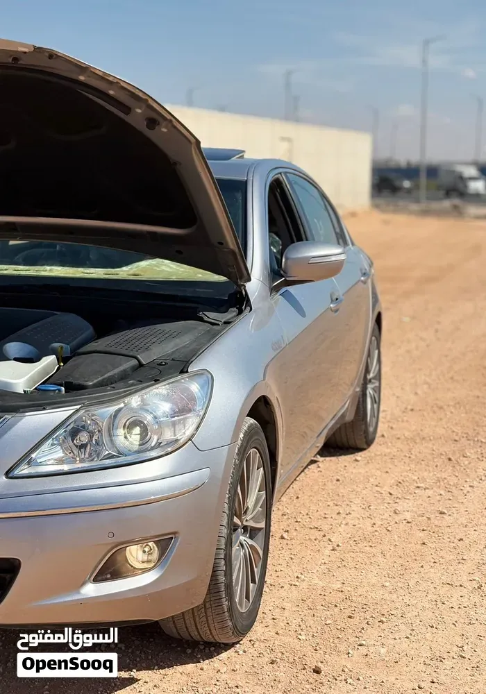 Genesis Sonata 2010 photo 2