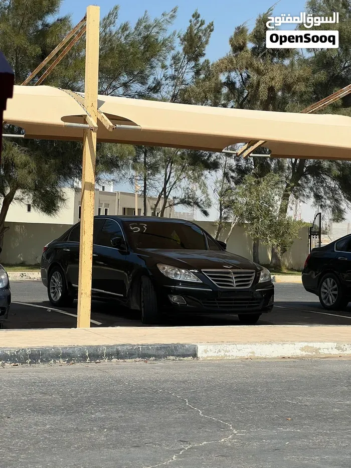 Genesis Sonata 2010 photo 5