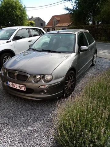 MG Zr