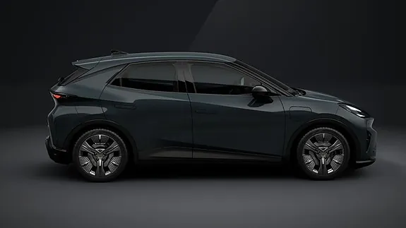 Cupra Raval