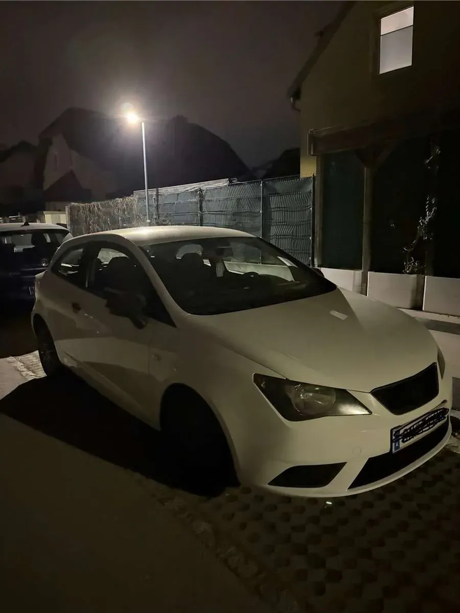 Seat Ibiza 2014 photo 2