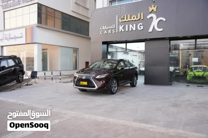 Lexus Rx 350 2019 photo 3