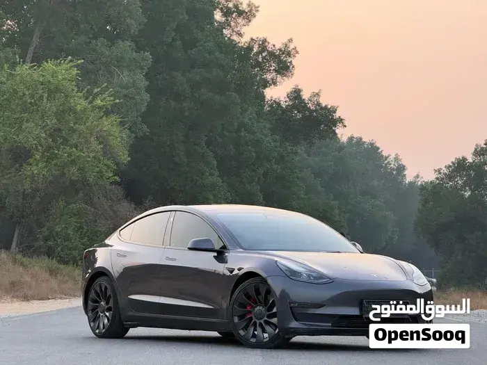 Tesla Model 3 2024 photo 4