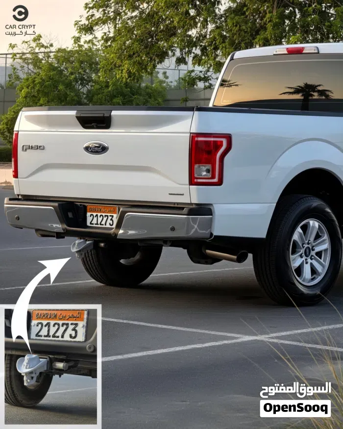 Ford F-150 2015 photo 2