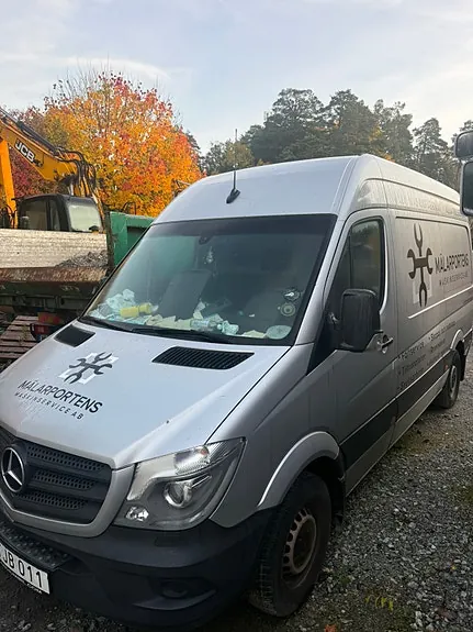 Mercedes-Benz Sprinter 316 2018 photo 2