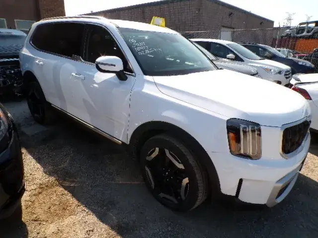 Kia Telluride 2024 photo 3