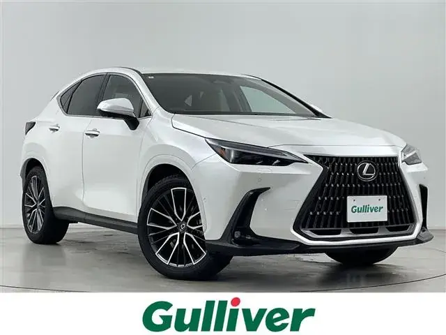 Toyota Nx