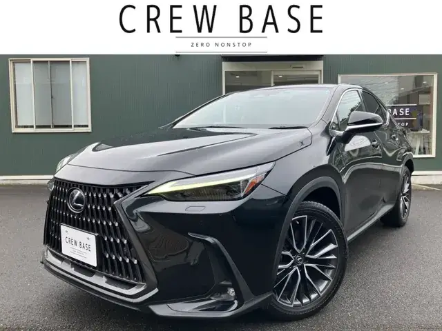 Toyota Nx