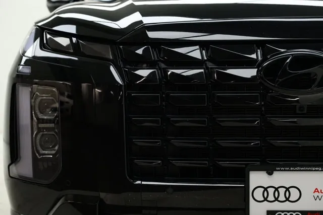 Hyundai Palisade 2025 photo 3