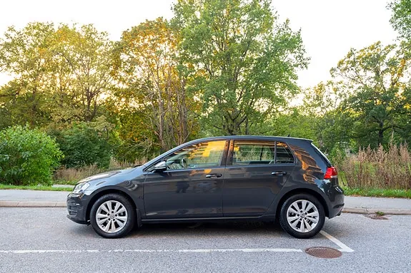 Volkswagen Golf Vii 2014 photo 4