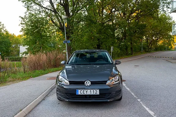 Volkswagen Golf Vii 2014 photo 2