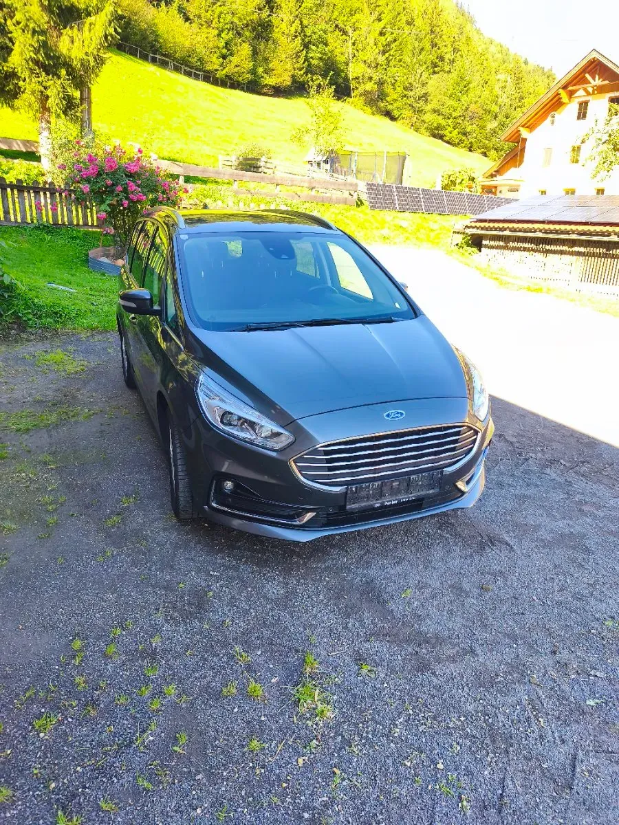 Ford Galaxy 2020 photo 3