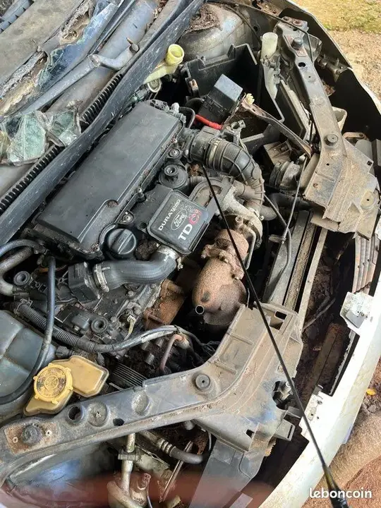 Ford Fiesta 2003 photo 3
