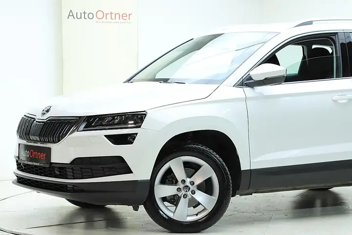 Skoda Karoq 2021 photo 2