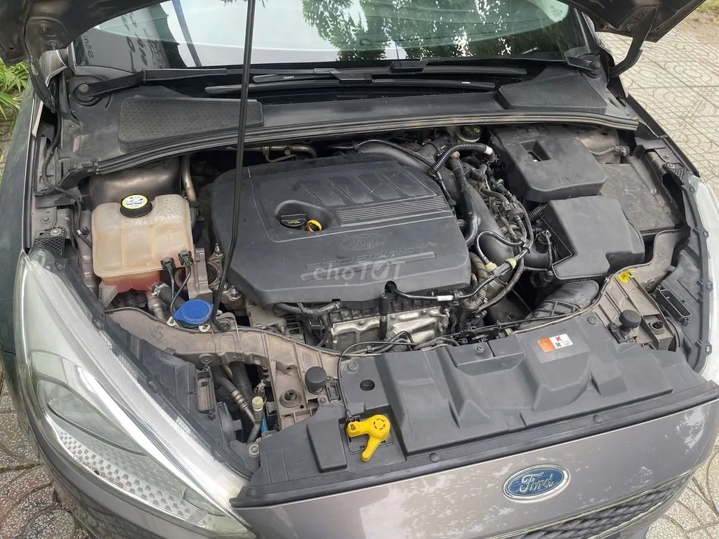 Ford Focus 2017 photo 3