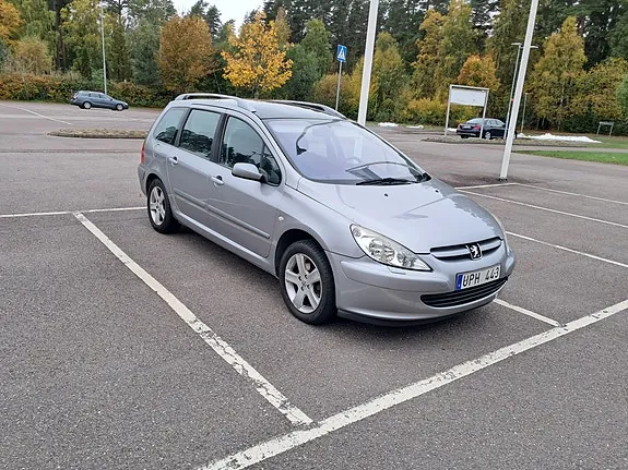 Peugeot 307 Sw 2004 photo 3
