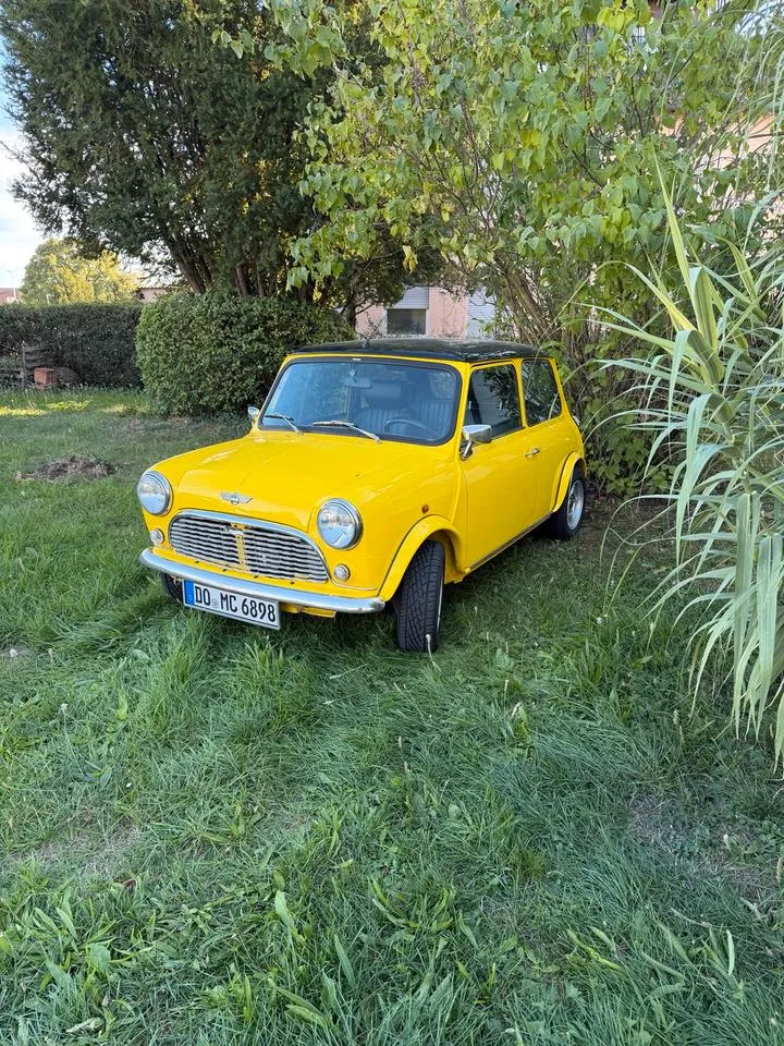 Rover Mini
