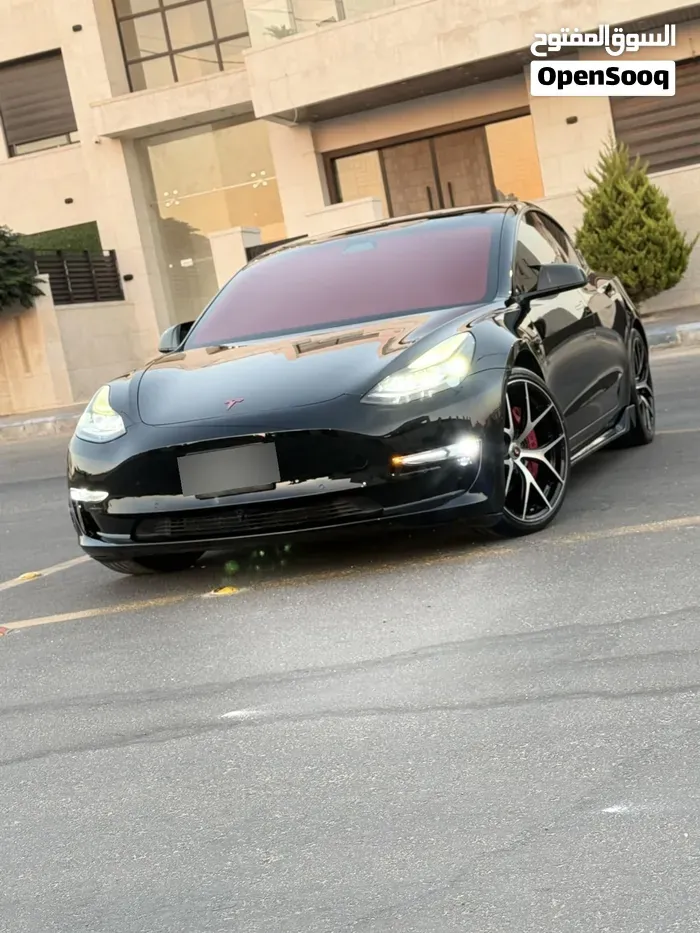 Tesla Model 3 2021 photo 3