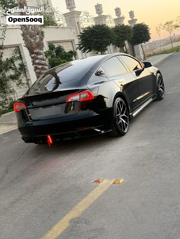Tesla Model 3 2021 photo 2