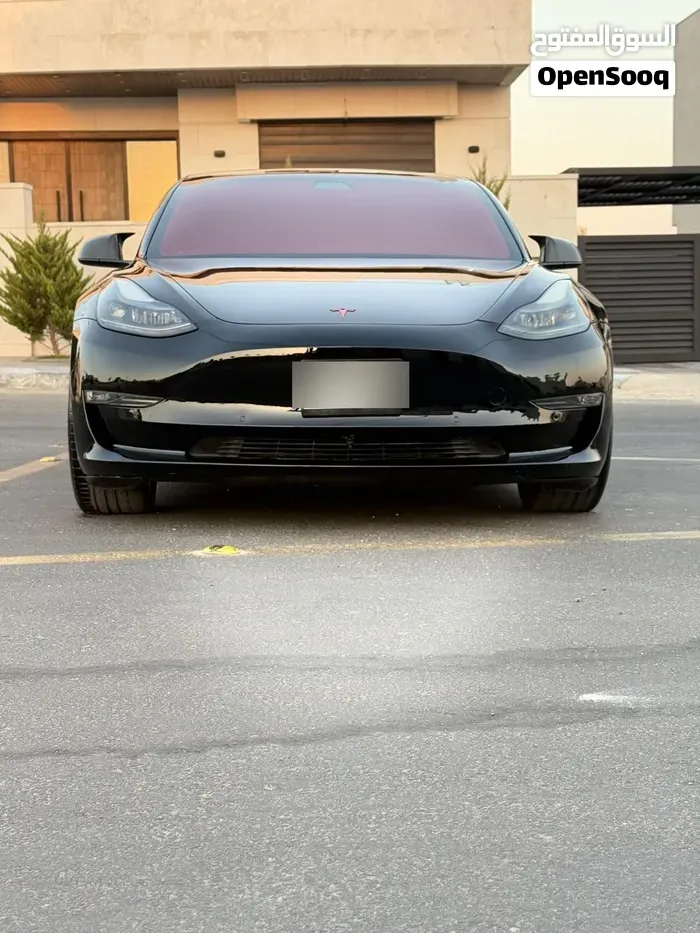 Tesla Model 3 2021 photo 4