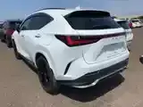 Lexus Nx 2024 photo 5