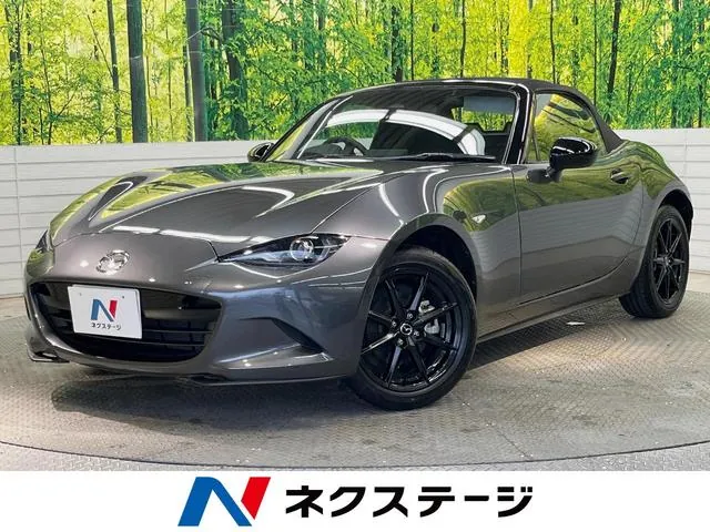 Mitsubishi Roadster S