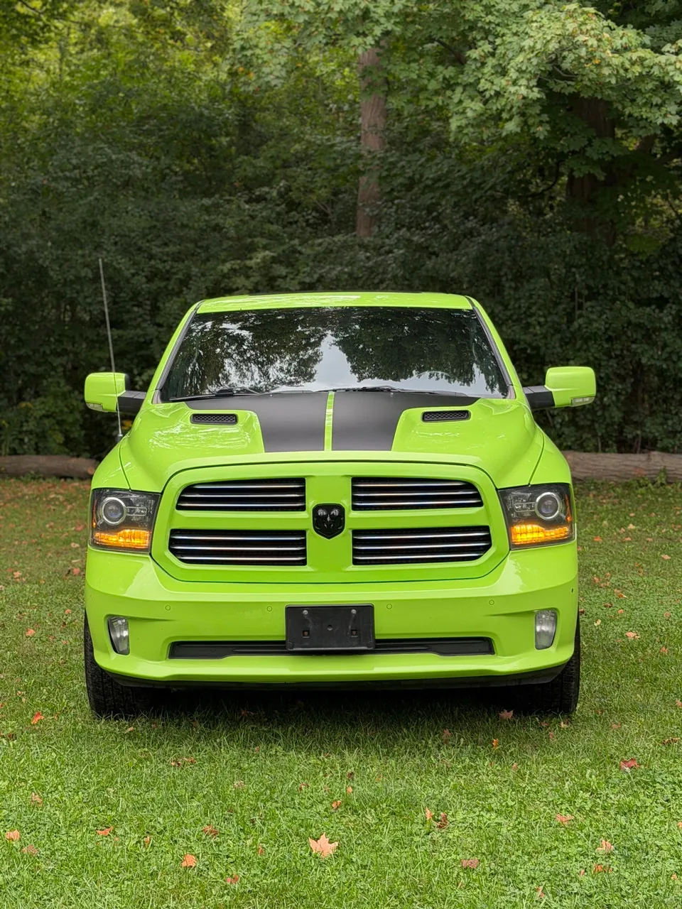 Dodge Ram 1500 2017 photo 2