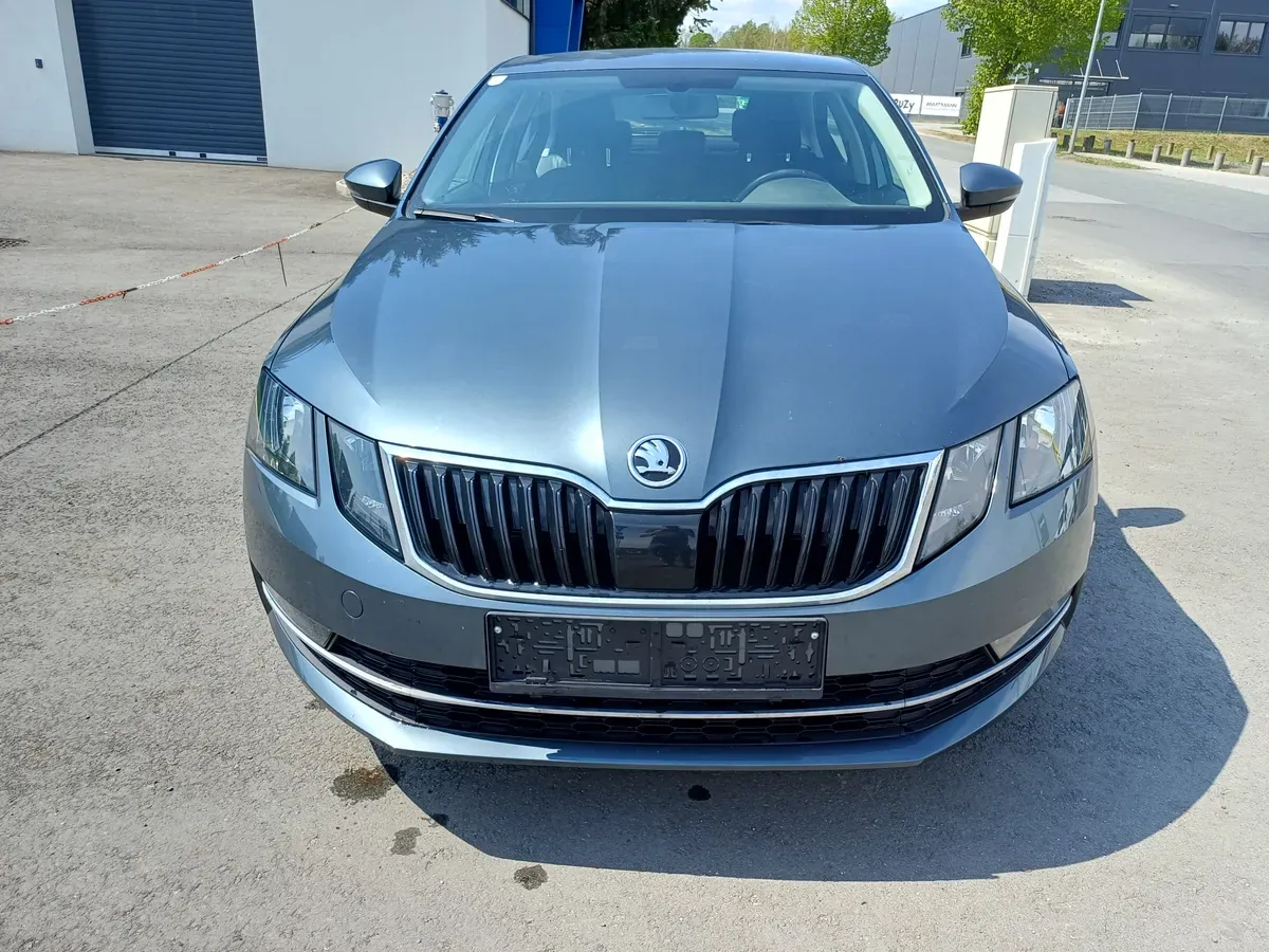 Skoda Octavia 2019 photo 2