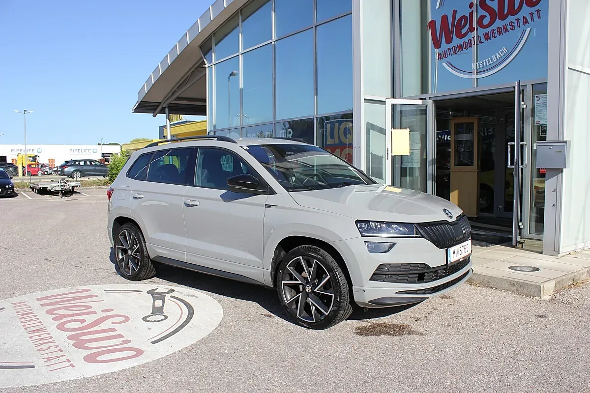 Skoda Karoq 2020 photo 2