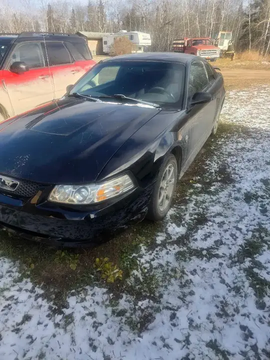 Ford Mustang 2004 photo 2
