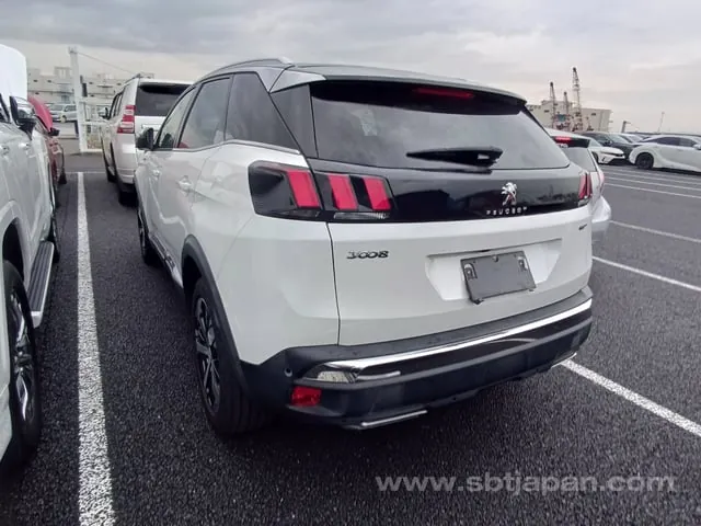 Peugeot 3008 2019 photo 3
